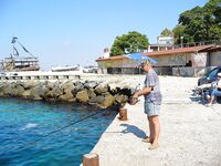 Зелёная «лапина» съедобна, собачек — в море: короткий отчёт с Поморие