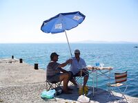 Зелёная «лапина» съедобна, собачек — в море: короткий отчёт с Поморие