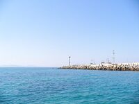 Зелёная «лапина» съедобна, собачек — в море: короткий отчёт с Поморие