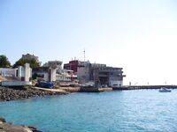 Зелёная «лапина» съедобна, собачек — в море: короткий отчёт с Поморие