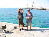 Зелёная «лапина» съедобна, собачек — в море: короткий отчёт с Поморие