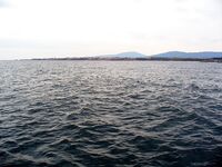 Китен, ветер С–СЗ, вода 22°: самодур, «цыганочка», луфарь — рыбы не было