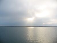 Порт Бургас, «цыганское лето»: сарган 1–3 шт., ставка на волка не сыграла