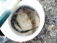 Поморие на разведке: северный ветер, бычки и бомбарда по заргану