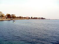 Поморие на разведке: северный ветер, бычки и бомбарда по заргану