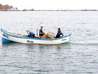 Поморие на разведке: северный ветер, бычки и бомбарда по заргану