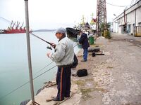 Мыс Коракя — Приморско — Ропотамо: искали луфаря и ставриду, попалась мелочь