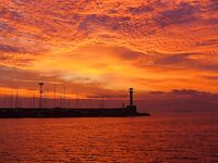 Бычки Чёрного моря: 40 видов, ночные выходы и мясные насадки