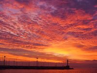 Бычки Чёрного моря: 40 видов, ночные выходы и мясные насадки