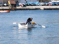 Царево, причал: сингиль на сеть, заготовка наживки под парагад