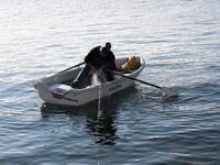 Царево, причал: сингиль на сеть, заготовка наживки под парагад