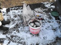 30 декабря, лиман Мандра: «последняя» рыбалка года и улов для подарков