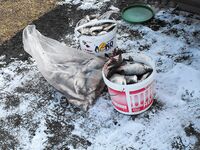 30 декабря, лиман Мандра: «последняя» рыбалка года и улов для подарков