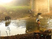 Средецкая речка — лиман Мандра: мелочь активна, погода переменчива