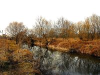 Средецкая речка — лиман Мандра: мелочь активна, погода переменчива