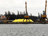 Разведка по шторму, порт пуст: рыбалка отложена, рыба в сетях и магазинах