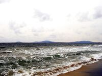 Разведка по шторму, порт пуст: рыбалка отложена, рыба в сетях и магазинах