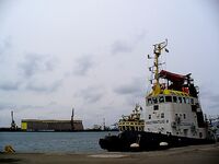 Разведка по шторму, порт пуст: рыбалка отложена, рыба в сетях и магазинах