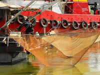 Цаца пошла — самодур №10 и рассвет: морская рыбалка в порту Бургас