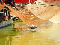 Цаца пошла — самодур №10 и рассвет: морская рыбалка в порту Бургас