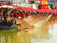 Цаца пошла — самодур №10 и рассвет: морская рыбалка в порту Бургас