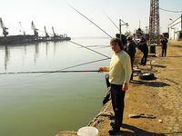 Цаца пошла — самодур №10 и рассвет: морская рыбалка в порту Бургас