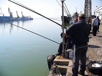 Цаца пошла — самодур №10 и рассвет: морская рыбалка в порту Бургас