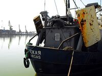 Цаца пошла — самодур №10 и рассвет: морская рыбалка в порту Бургас