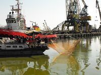 Цаца пошла — самодур №10 и рассвет: морская рыбалка в порту Бургас