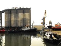 Морская рыбалка в Бургасе: солнце, восточный ветер и заход рыбы в порт