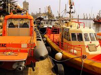 Морская рыбалка в Бургасе: солнце, восточный ветер и заход рыбы в порт