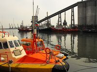 Морская рыбалка в Бургасе: солнце, восточный ветер и заход рыбы в порт