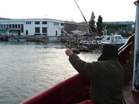 Карагьоз на рассвете и «Русская рыбалка» по ТВ: техника та же, размеры разные