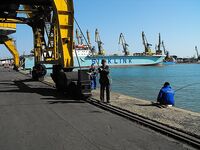 «Жадный самодур»: 10–40 крючков, флюоркарбон, светящийся бисер и вертикальный джиг