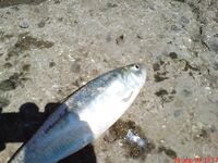 Без слов — фото момента: фиксация выезда и улова