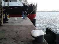 Ставридка на самодур: рабочий паттерн по перу и размеру