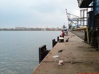 Ставридка на самодур: рабочий паттерн по перу и размеру