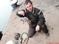 Бычок-лихнус: короткий кадр из серии