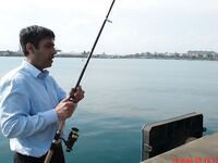 Жара в заливе: ставрид уходит — ждём луфарей к проходу