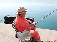 Жара в заливе: ставрид уходит — ждём луфарей к проходу