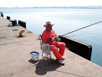 Жара в заливе: ставрид уходит — ждём луфарей к проходу