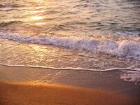 Царево и центральный пляж Бургаса: на море порядок, отдых и рыбалка идут