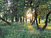 Царево и центральный пляж Бургаса: на море порядок, отдых и рыбалка идут
