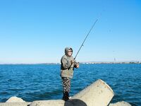 Оснастка и прикорм: щекеры 5–8 м, болонезе 4,40, ставридку кормлю «кролем»