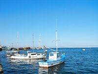 Оснастка и прикорм: щекеры 5–8 м, болонезе 4,40, ставридку кормлю «кролем»