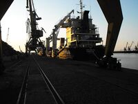 Судак морской в Бургасском заливе: воблеры и блёсны молчат — кльова нет