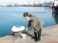 Утренняя разведка в порту: мелкая ставритка на самодур, пирс бодрит как зарядка