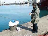 Утренняя разведка в порту: мелкая ставритка на самодур, пирс бодрит как зарядка