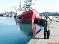 Утренняя разведка в порту: мелкая ставритка на самодур, пирс бодрит как зарядка