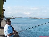 Утренняя разведка в порту: мелкая ставритка на самодур, пирс бодрит как зарядка